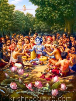CV74 KRISHNA PICNIC